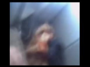Fotos renata fan pelada para baixar no celular